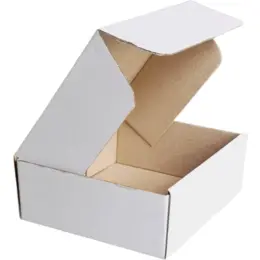 Colour Shipper Box White Small